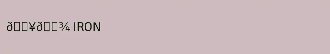 🖥️👾 IRON
